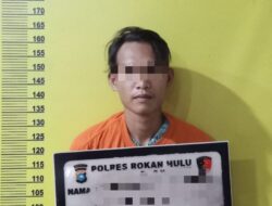 Curiga Curi Buah Sawit Diduga Hasil Curiannya, Pelaku Bunuh Teman