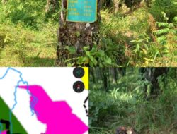 Diduga PT TBS ‘Nekat’ Panen Buah Sawit Diluar HGU dan Dalam Kawasan, Warga Heran.