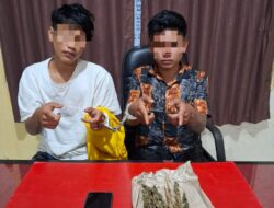 Tim Mata Elang Sat Resnarkoba Polres Kuansing Tangkap Dua Pelajar Pengedar Ganja di Singingi Hilir