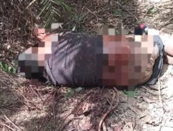 Heboh Penemuan Mayat Di Kebun Sawit