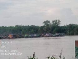 Instruksi Mabes Polri Diinjak-Injak: PETI di Kapuas Sintang Jadi Ladang Uang Haram, Aparat Diduga Main Mata