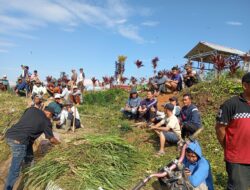 Antusias Masyarakat Semangat Gotong Royong Di Desa Suka Maju