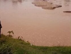 Polsek Cerenti Tindak 30 Rakit PETI di Sungai Kuantan, Pekerja Lari Berhamburan