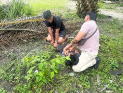 Sigap, Tim Mata Elang dan Unit Reskrim Polsek Singingi Berhasil Ringkus Kasus Shabu di Desa Pulau Padang