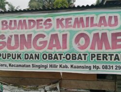 Febri Sulaiman Bantah Isu BUMDes Fakum, Usaha Kami Masih Jalan dan Menghasilkan
