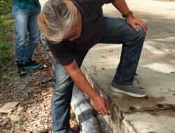 Parah, Baru Selesai Dikerjakan, Jalan Rigit Beton Rimbo Ilir Rp 5 Miliar 500 Meter Ini Alami Keretakan 16 Titik