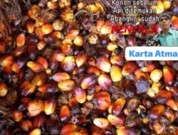 Joni Carter Diduga Beli  Buah Sawit Hasil Curian dari Perkebunan PT Cerenti Subur