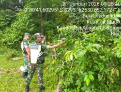Babinsa Koramil 08/KM Rutin Laksanakan Patroli Karhutla di Desa Binaan