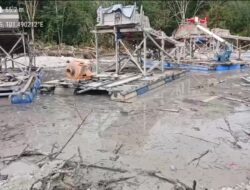 Hasil Bumi Lahan Pemda Kuansing Dirampok Mafia Tambang