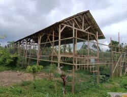 Tahun Anggaran 2025 Sudah Berjalan, Program Ketahanan Pangan Pekon Sinar Jaya Belum Terealisasi, Diduga Dikorupsi