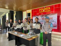 Polres Kuansing Bongkar Jaringan Ganja Antar Kabupaten, 22,5 Kilogram Ganja Kering Diamankan