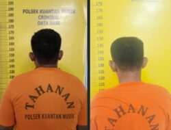 Polsek Kuantan Mudik Ungkap Kasus Pencurian Sapi, Dua Pelaku Diamankan