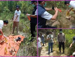 Polsek Singingi Hilir Olah TKP Penemuan Kerangka Manusia di Areal PT RAPP Desa Bukit Raya