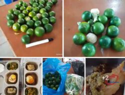 Diduga Permainan Korupsi Pemilik Usaha, Menu MBG Tidak Memenuhi Standar Gizi