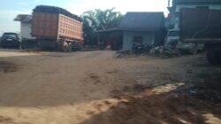 Sekum IPMAKUSI-Pekanbaru Ultimatum PT SBL, Diduga Ram Milik Inisial RFB Pasok Buah TNTN