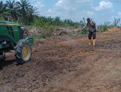 Kolaborasi Bhabinkamtibmas dan Petani Kembangkan Jagung Pipil, Perkuat Ketahanan Pangan di Singingi Hilir