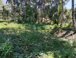 Warga Keluhkan Kabel Listrik Menyentuh Tanah, Harap Penanganan Dari Pihak Terkait