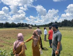 Kapolsek Cerenti Cek Lahan 6 Hektare untuk Dukung Ketahanan Pangan Nasional