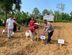 Dukung Asta Cita Presiden, Polsek Kuantan Hilir Laksanakan Penanaman Bibit Jagung Pipil 