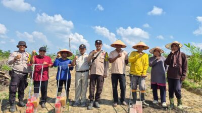 Dorong Swasembada Pangan, PT Adimulya Agrolestari Perluas Lahan Jagung Pipil 16 Hektar