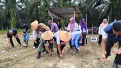Penanaman Jagung Pipil di Bukit Raya Jadi Wujud Dukungan Program Asta Cita