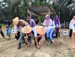 Penanaman Jagung Pipil di Bukit Raya Jadi Wujud Dukungan Program Asta Cita
