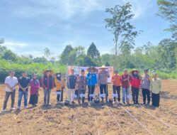 Asta Cita Presiden RI, Polsek dan Forkopimcam Kuantan Hilir Tanam Jagung Pipil 