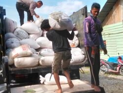 MASYARAKAT DESA SUNGAI BULUH DUKUNG PENJUALAN JAGUNG PIPIL KE BULOG UNTUK SWASEMBADA PANGAN