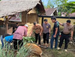 Polsek Kuantan Hilir Gelar Penyembelihan Qurban, Tebar Kepedulian di Idul Adha
