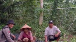 Dukung Asta Cita Presiden, Kapolsek AKP. Azhari Cek and Ricek “Perkarangan Bergizi”.