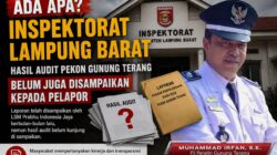 Ada Apa Dengan Inspektorat Lampung Barat? Hasil Audit Pekon Gunung Terang Belum Juga Disampaikan Kepada Pelapor 