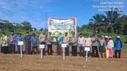 Polsek Kampar Kiri Turun Ke Lahan Bareng Santri & Petani Tanam Jagung 1 Ha Lawan Krisis Pangan