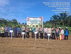 Polsek Kampar Kiri Turun Ke Lahan Bareng Santri & Petani Tanam Jagung 1 Ha Lawan Krisis Pangan
