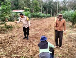 Polres Kuansing Dukung Swasembada Pangan, Penanaman Benih Jagung Pipil Digelar di Desa Munsalo