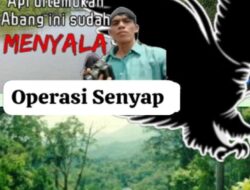 Perambahan Hutan di Pulau Padang Meranti belum Berhenti, Kegiatan Diduga Didukung Cukong Asal Malaysia