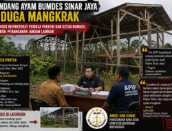 Kandang Ayam BUMDes Sinar Jaya Mangkrak, Irbansus Periksa Peratin dan Ketua BUMDes