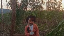BERKEDOK PENDIDIKAN, FZYT DIDUGA SULAP KAWASAN SUAKA MARGASATWA BUKIT RIMBANG BUKIT BALING JADI KEBUN SAWIT