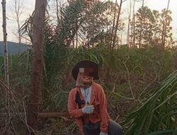 BERKEDOK PENDIDIKAN, FZYT DIDUGA SULAP KAWASAN SUAKA MARGASATWA BUKIT RIMBANG BUKIT BALING JADI KEBUN SAWIT