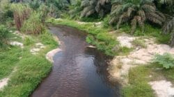WARGA LAPORKAN DUGAAN PENCEMARAN SUNGAI AMUT OLEH LIMBAH CAIR PKS PT MAS DI TANJUNG PAUH