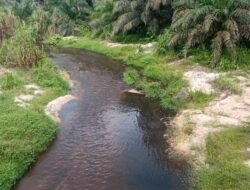 WARGA LAPORKAN DUGAAN PENCEMARAN SUNGAI AMUT OLEH LIMBAH CAIR PKS PT MAS DI TANJUNG PAUH